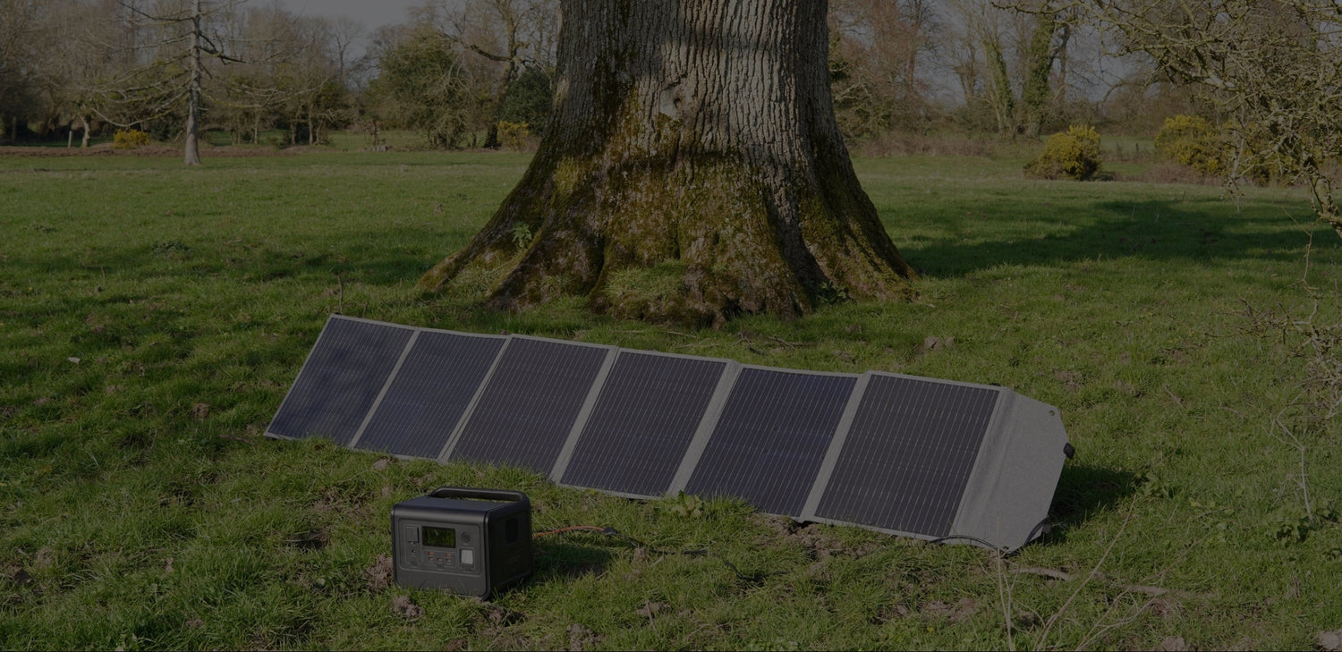 Solar panel and battery box on grass with a large tree in the background